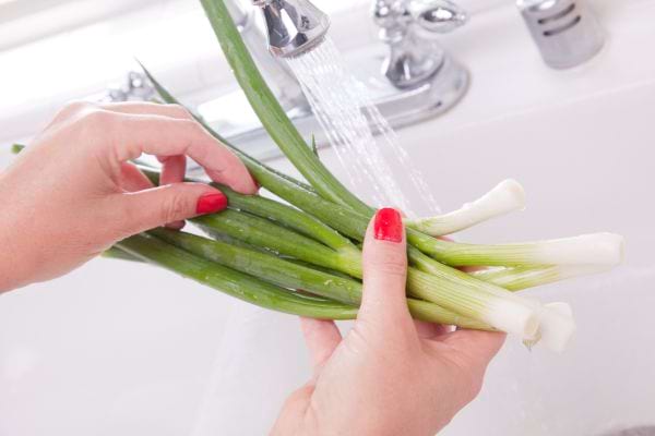 personne qui lave des oignons jeunes sous l'eau