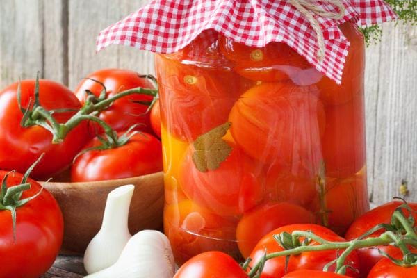 pot de tomate conservée en bocal et des tomates bien rouges autour