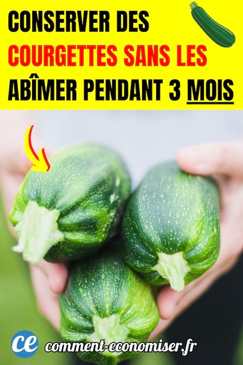 une personnes tient trois courgettes dans sa main