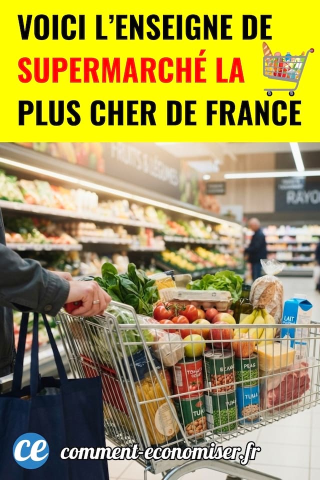 Une personne qui pousse un caddie