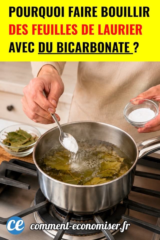 dune personne faisant bouillir des feuilles de laurier avec du bicarbonate de soude