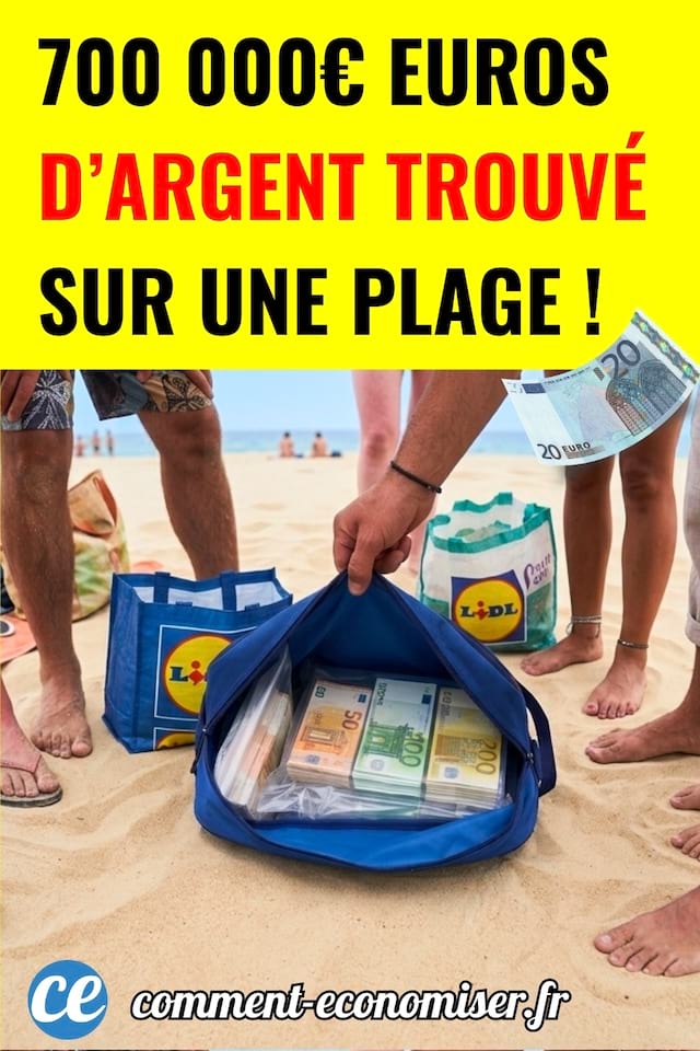 Des vacanciers qui ont trouvé de l'argent dans des sacs lidl