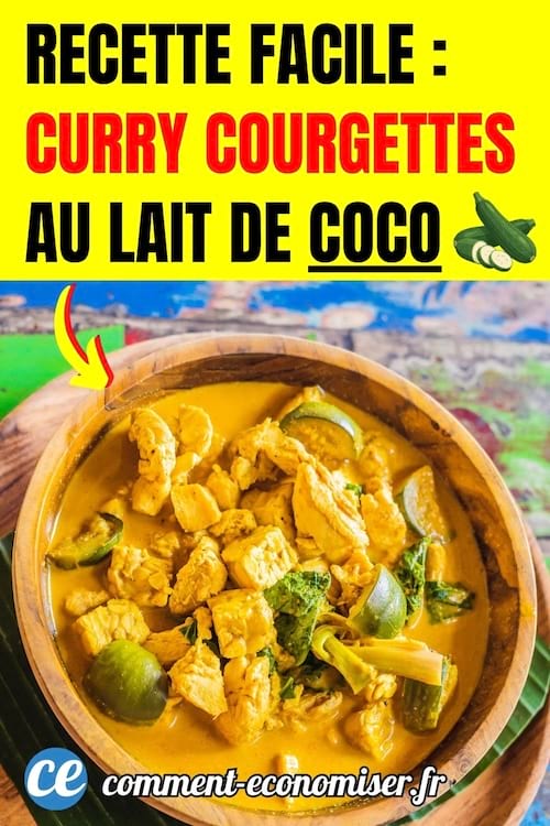 un curry crémeux aux courgettes et au lait de coco avec du tofu