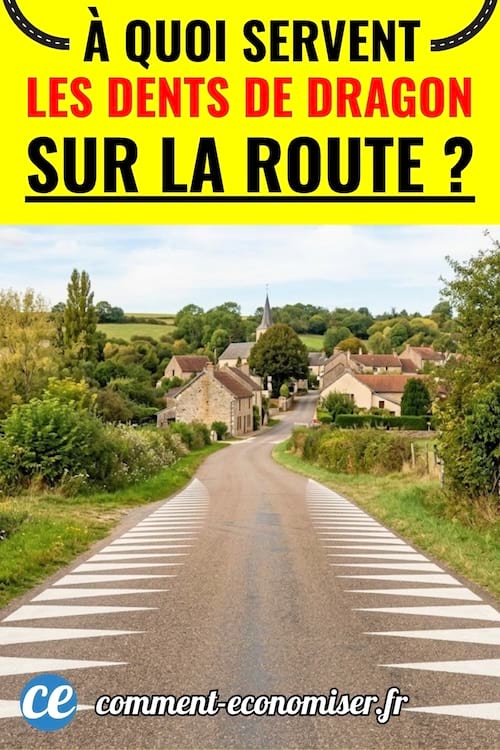 Dents du dragon sur une route à la campagne