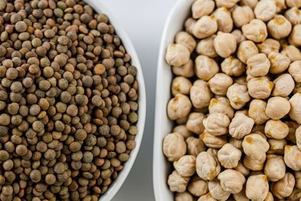Lentilles vertes et pois chiches secs présentés dans deux bols blancs.