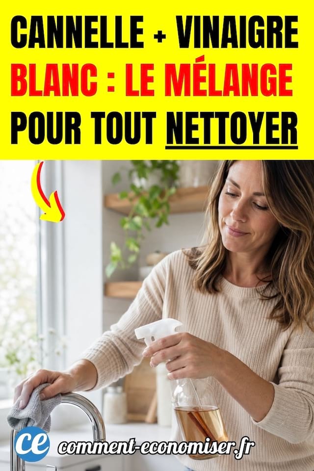 une femme nettoie son robinet avec un m&eacute;lange de vinaigre blanc et de cannelle dans un spray