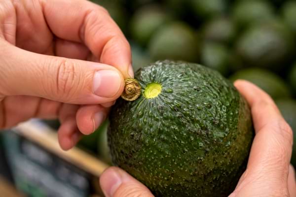 une personne retirant délicatement le petit pédoncule rond d'un avocat