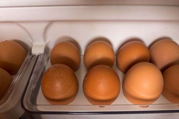 des oeufs frais rangés dans la porte du frigo dans un range-oeuf