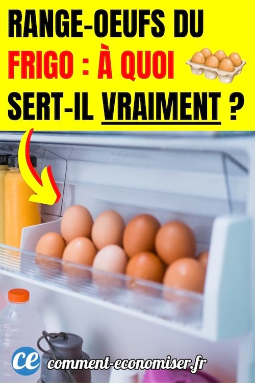 des oeufs blancs et marrons rangés dans un range-oeuf dans le frigo