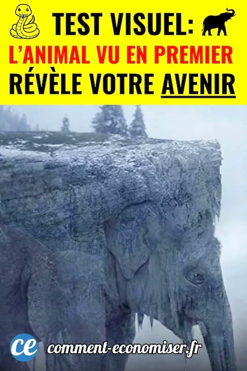 test visuel : vous voyez un &eacute;l&eacute;phant ou un serpent ?