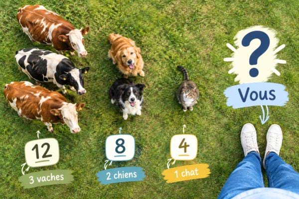&eacute;nigmes avec 3 vaches, 2 chiens et un chat pour savoir le nombre de pattes