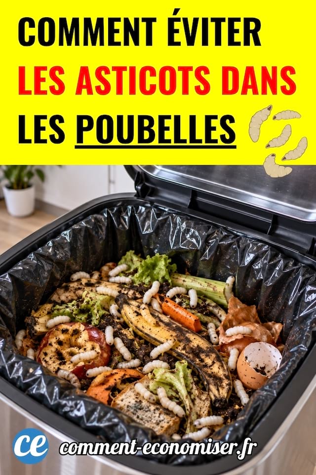 Des asticots dans une poubelle de cuisine pleine de d&eacute;chets