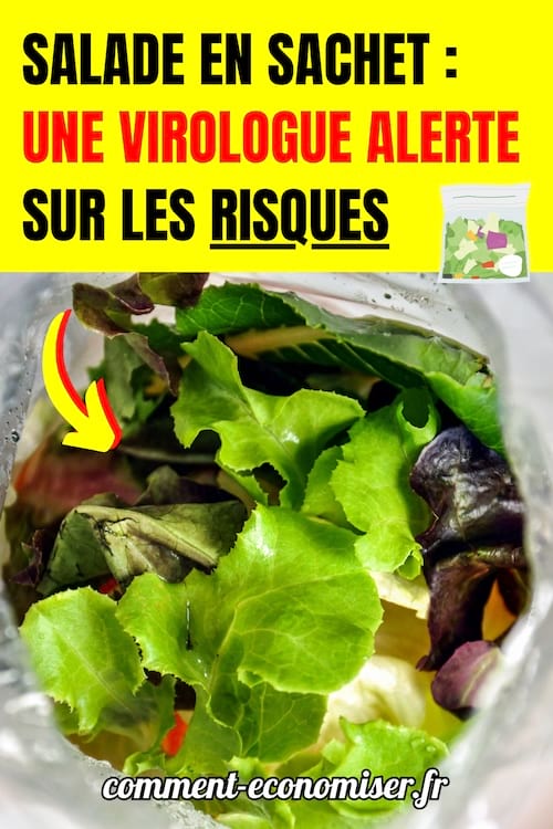 une salade en sachet qu'il faut bien nettoyer sous l'eau