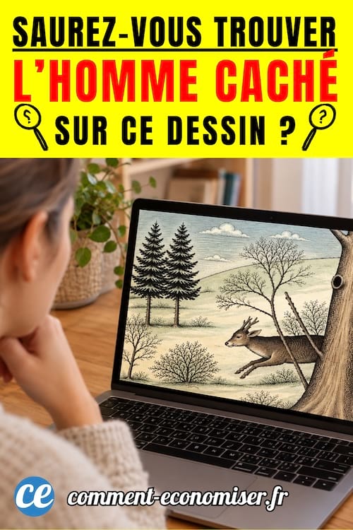 une personne regarde un d&eacute;fi visuel sur l'&eacute;cran de son ordinateur et tente de le r&eacute;soudre