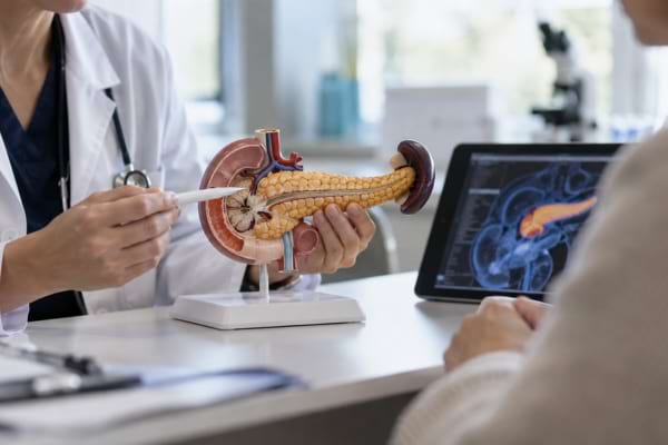 Médecin présentant le pancréas à l’aide d’un modèle anatomique et d’une imagerie médicale.