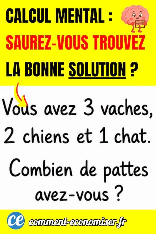 un texte pour proposer un exercice simple de calcul mental pour calculer le nombre de pattes d'animaux