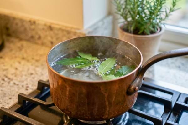 a small vintage copper pot on a modern stove, simmering water with fresh green bay leaves