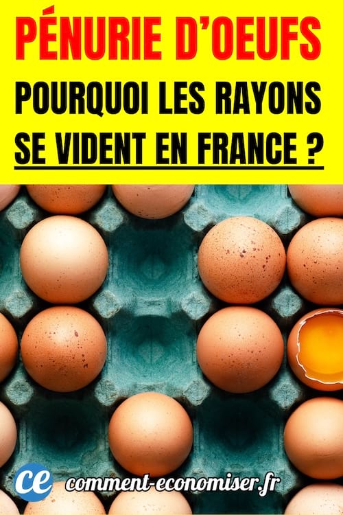 une boite d'oeuf verte en carton &agrave; moiti&eacute; vide avec un oeuf ouvert