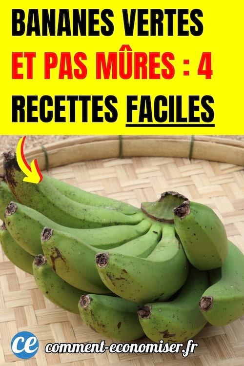 un régime de bananes vertes posées sur un plateau en osier