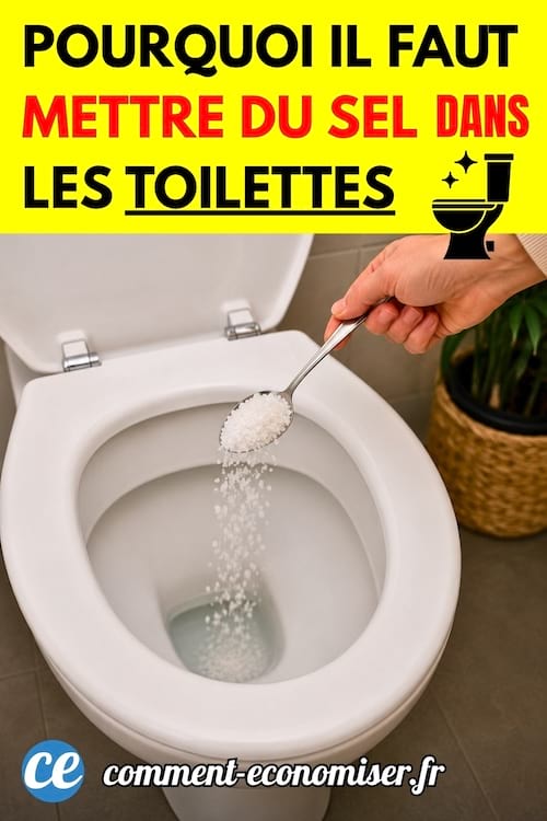 Une personne verse du gros sel dans la cuvette des toilettes