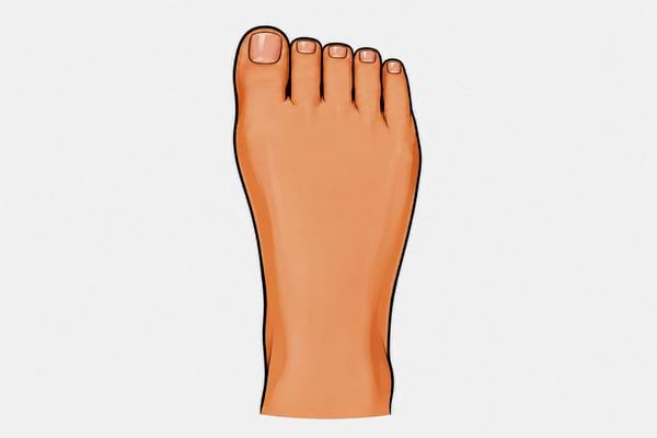 un pied germanique