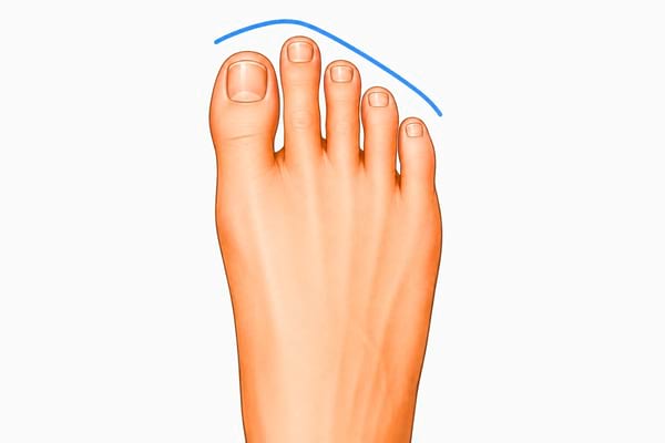 Un pied grec