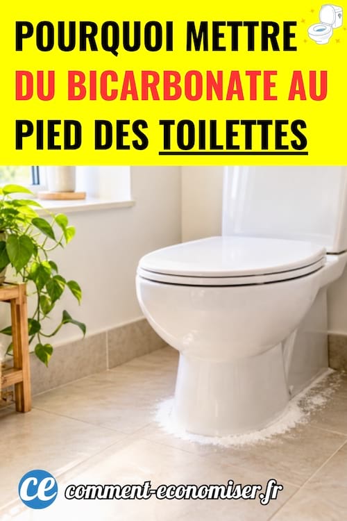 des wc blancs et propres avec du bicarbonate de soude au pied dans une pi&egrave;ce lumineuse avec des plantes