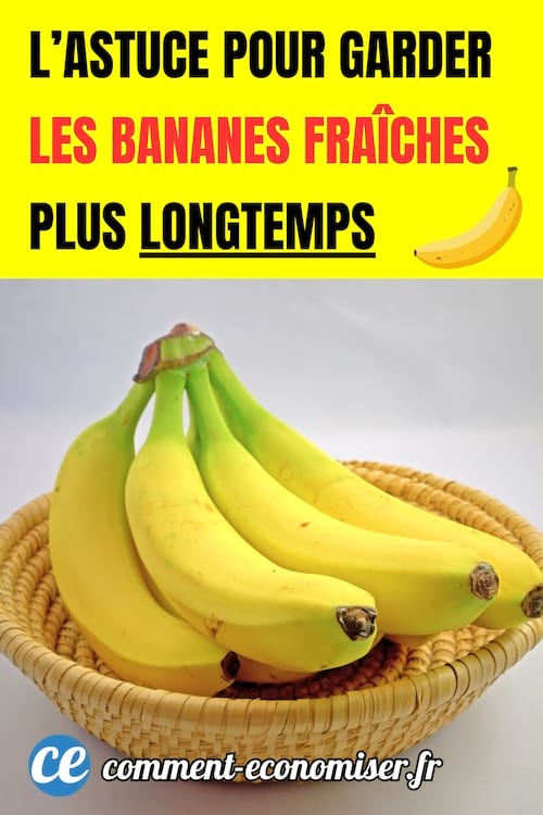 un régime de bananes bien jaunes dans une corbeille en osier