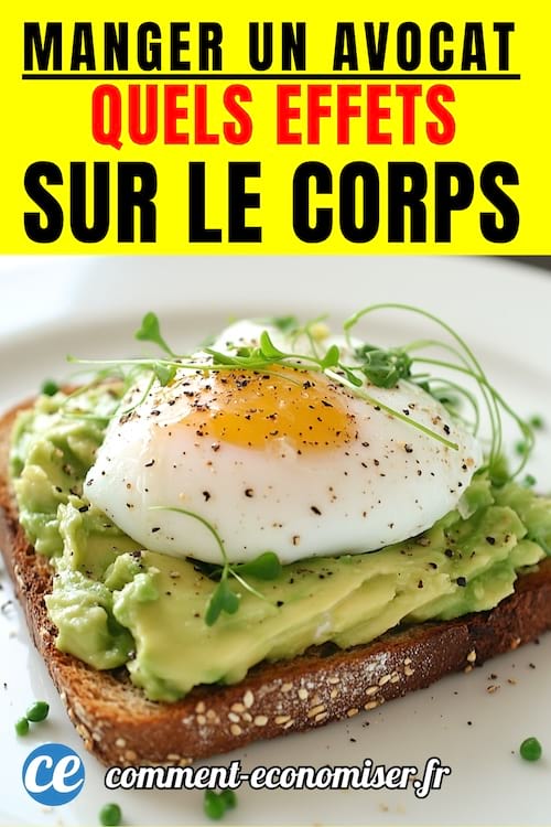 un toast avocat avec un oeuf mollet sur une tartine de pain