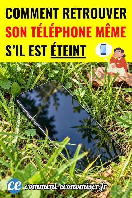 Un t&eacute;l&eacute;phone perdu dans l'herbe