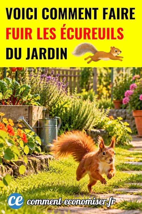 un &eacute;cureuil qui fuit d'un jardin