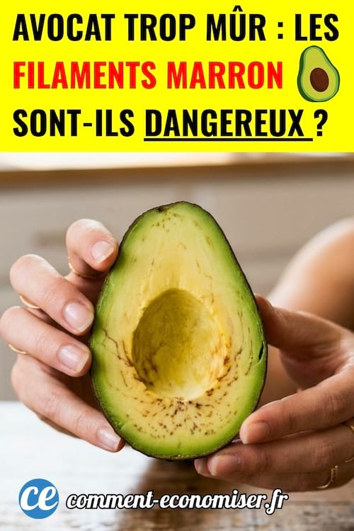 une femme tenant la moiti&eacute; d'un avocat avec des filaments marron