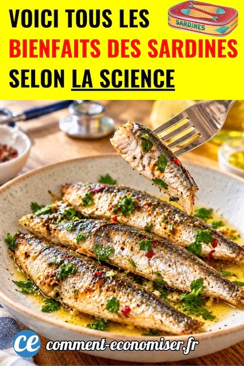 une fourchette qui prend une sardines et des sardines dans une assiette