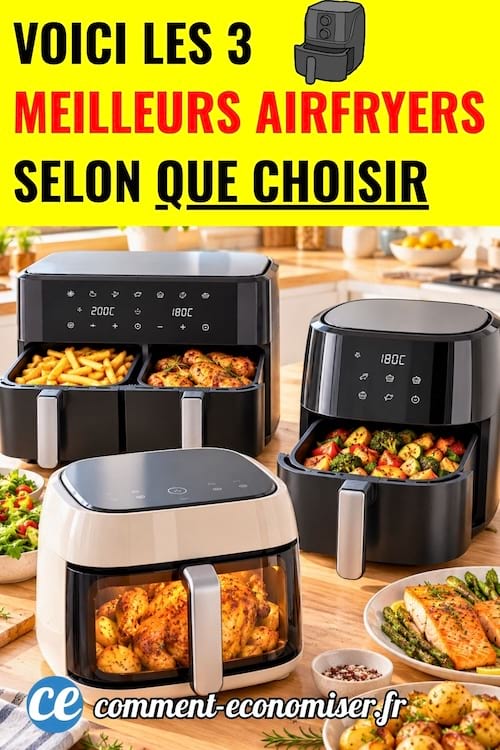 Différents types de airfryer dans une cuisine