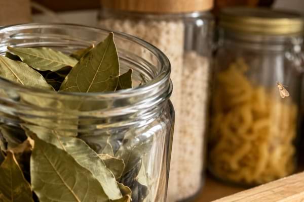 1. Feuilles de laurier dans un bocal de cuisine pour &eacute;loigner les mites alimentaires 