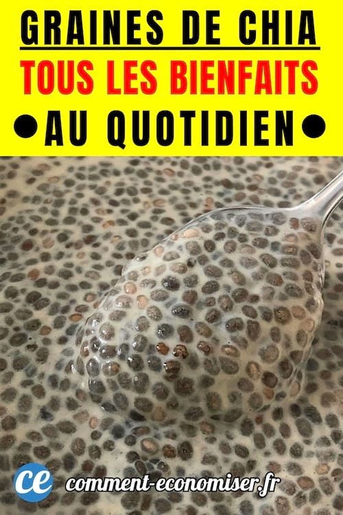 une cuill&egrave;re avec des graines de chia dedans