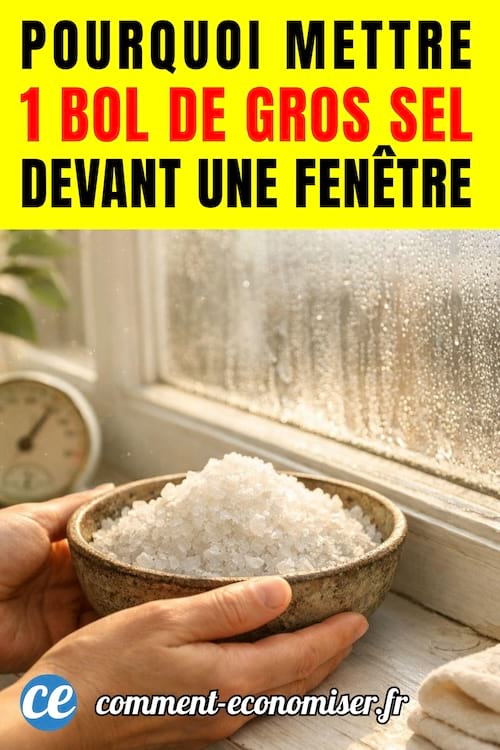 une personne place un bol de gros sel devant une fenêtre humide