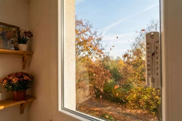 &Agrave; travers la vitre bien isol&eacute;e, on voit des arbres aux feuilles rousses et jaunes tombantes
