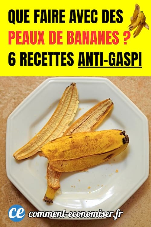 recettes pour utiliser les peaux de bananes qui sont dans une assiette blanche carr&eacute;e