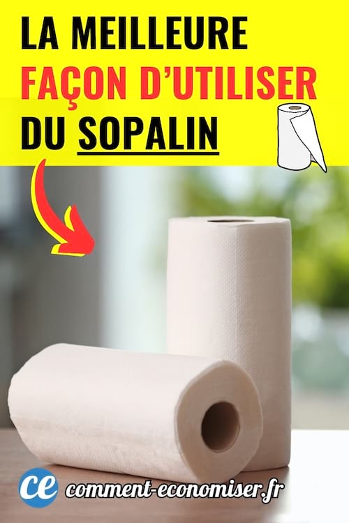 deux rouleaux d'essuie tout sont pos&eacute;s sur une table en bois dans une pi&egrave;ce lumineuse