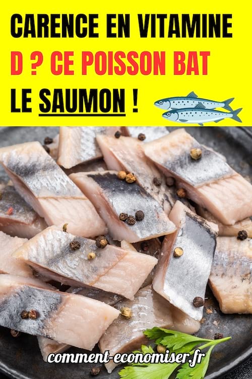 des morceaux de hareng coupés dans une assiette avec des grains de poivre