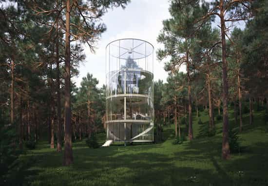 maison verre construite autour d'un arbre