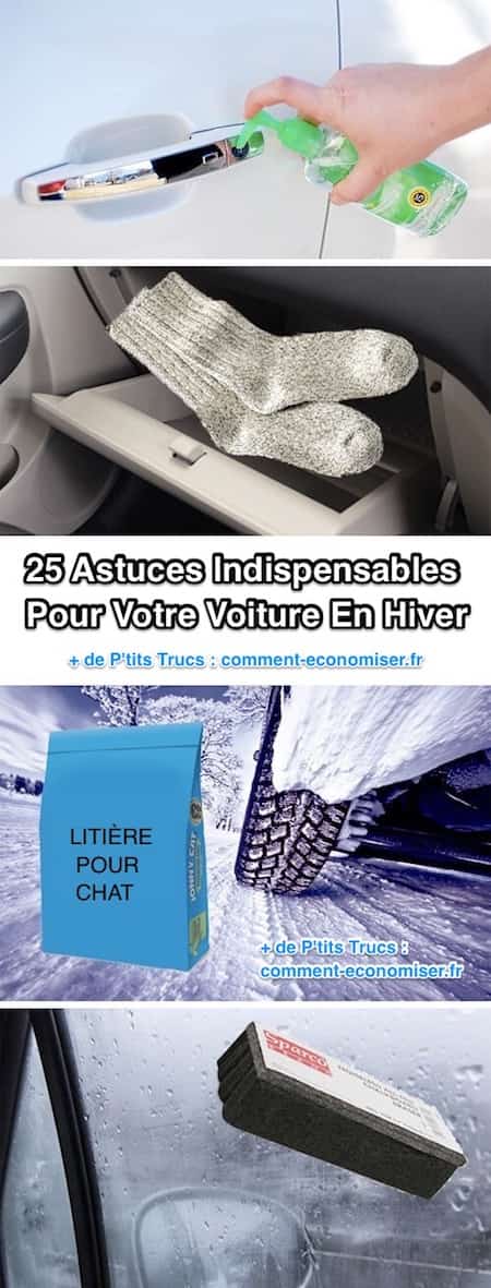 litiere chat humidite voiture