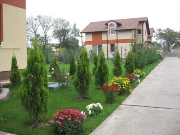 Décorez votre jardin avec des arbustes et des fleurs.