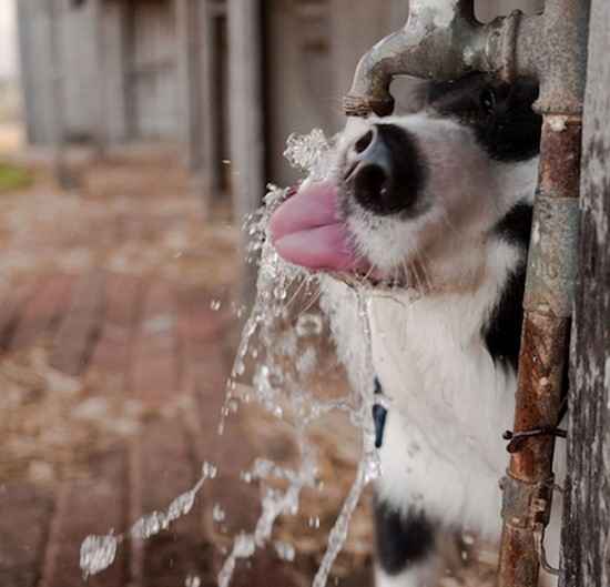 vous guérissez moins vite en étant déshydraté