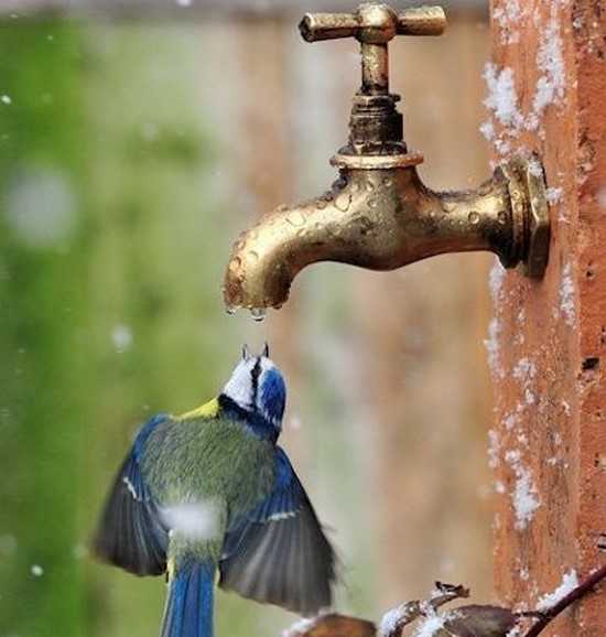 Quand vous êtes déshydraté vous avez des problèmes de constipation