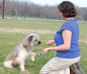 Éduquer Son Chien Soi-Même pour 2,10 € Grâce au Clicker. Éduquer Son Chien Soi-Même pour 2,10 € Grâce au Clicker.
