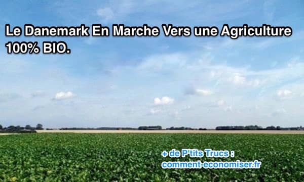 les danois premiers consommateur et producteur de bio