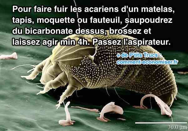 Saupoudrez du bicarbonate pour faire fuir les acariens