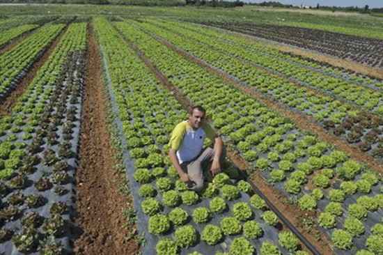 la demande et l'offre de produits bio augmentent